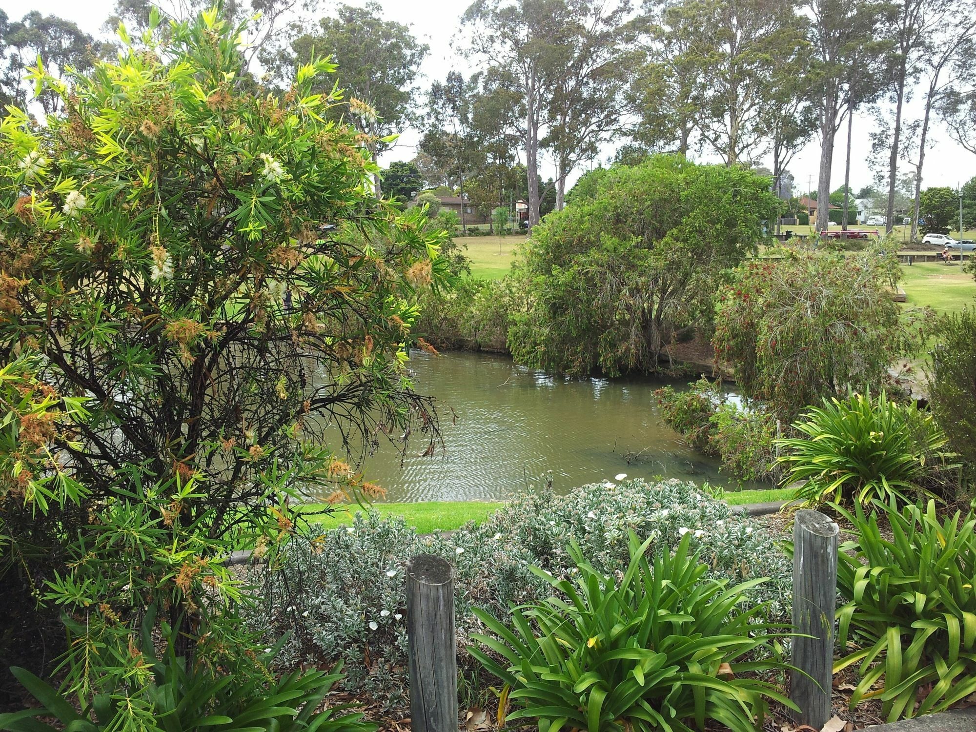Marriott Park Motel Nowra Eksteriør billede